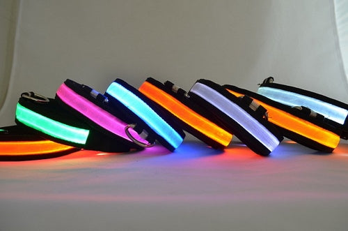 Collier lumineux à LED pour chien