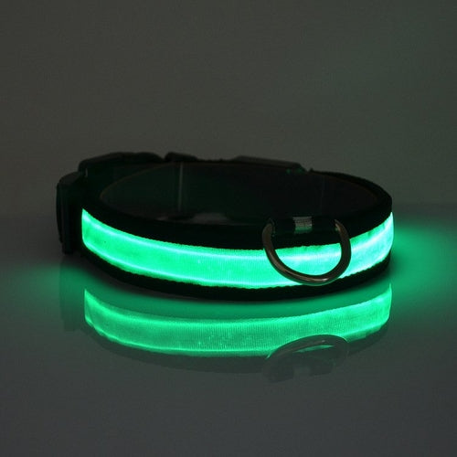 Collier lumineux à LED pour chien