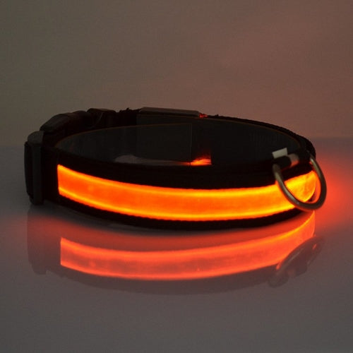 Collier lumineux à LED pour chien